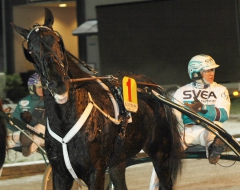 Orecchietti 151216-2